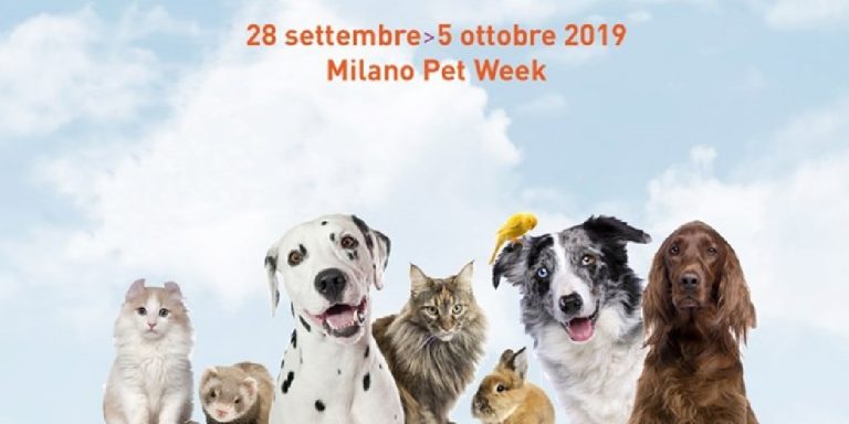 Milano Pet Week 2019: gli eventi in programma in città