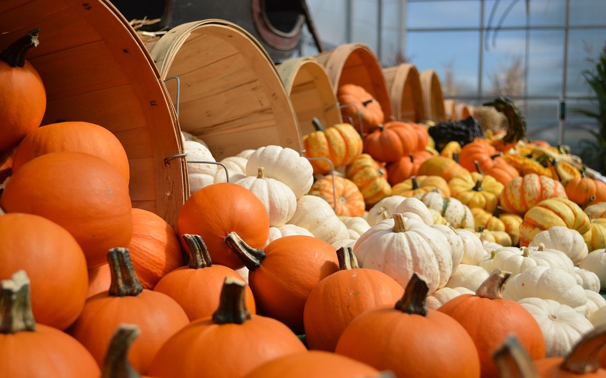 Sagra della Zucca 2019: un programma ricco di eventi