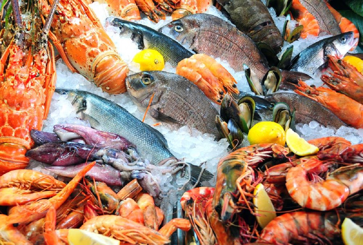 The Fish Milano: menu, orari e prezzi della ristopescheria