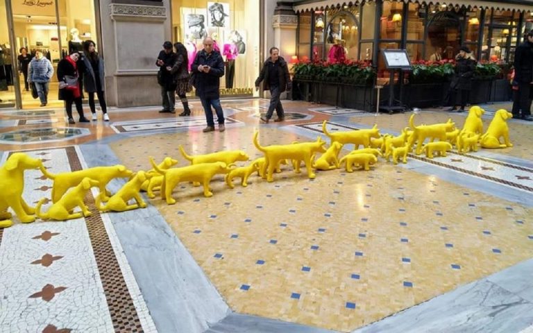 Cani gialli marciano in Galleria: i cuccioli che incuriosiscono Milano