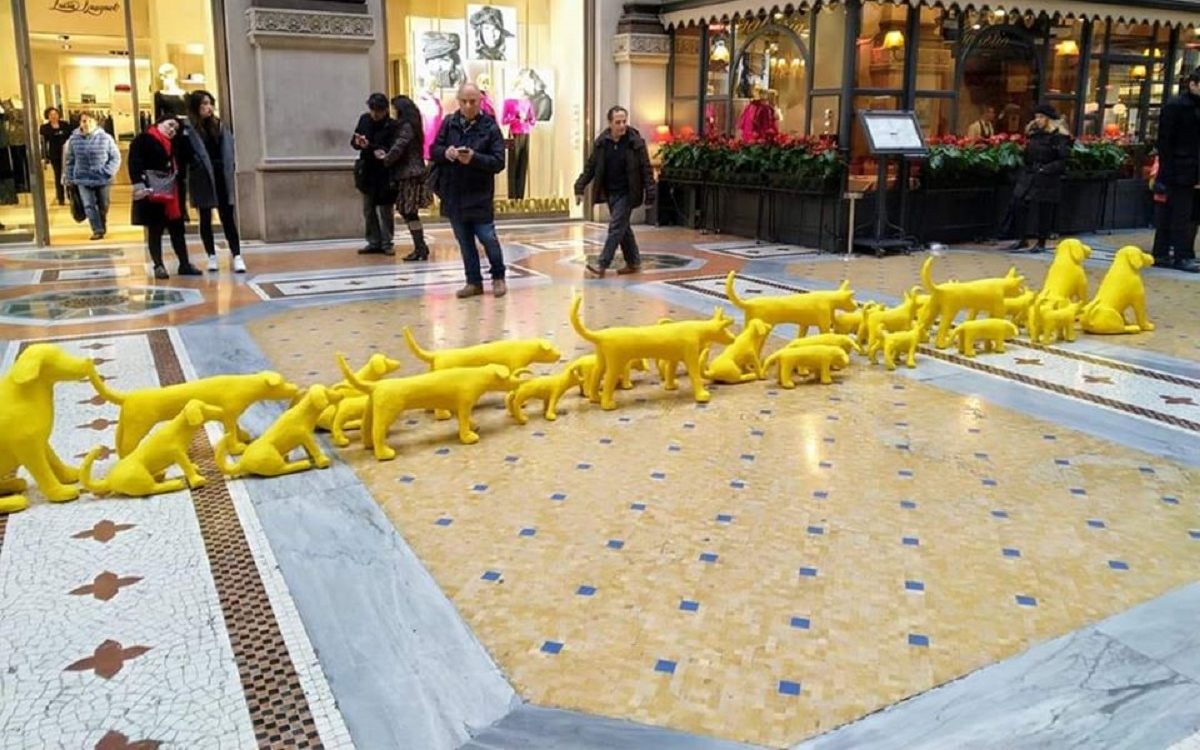 Cani gialli marciano in Galleria: i cuccioli che incuriosiscono Milano