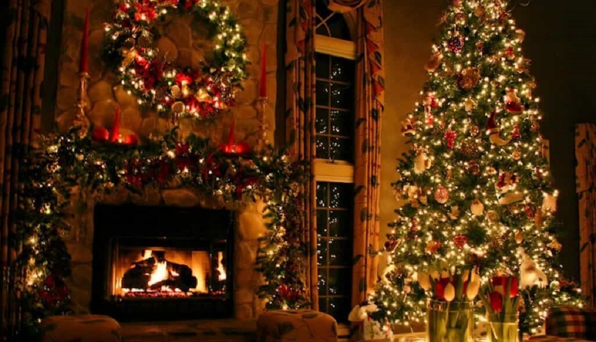 Dove comprare l’albero e gli addobbi di Natale a Milano: i negozi
