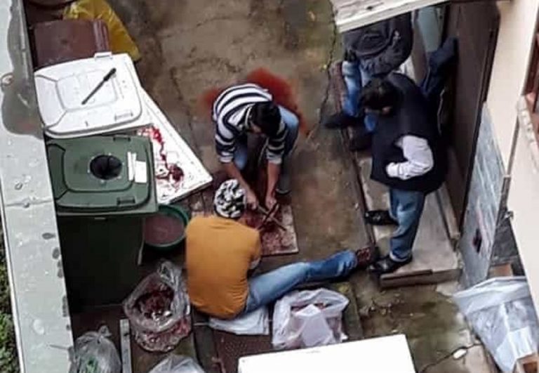 Macelleria abusiva a Milano: carne tagliata per terra tra sangue e rifiuti