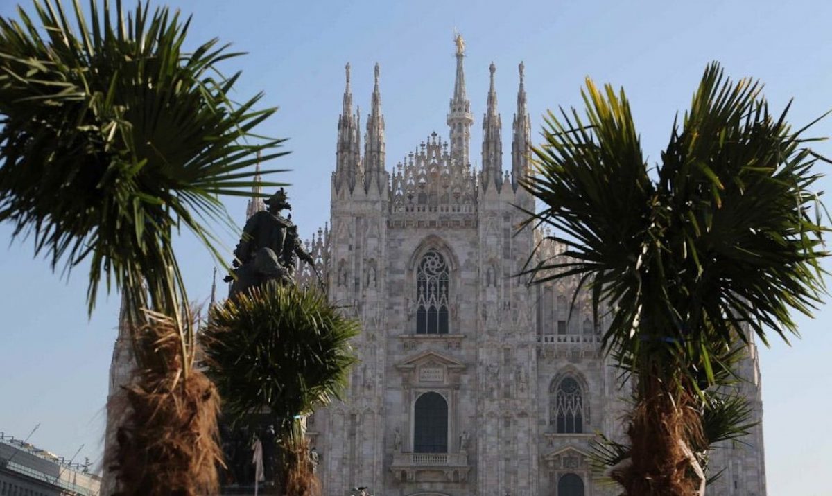 Milano, da gennaio nuova aiuola in piazza Duomo: addio palme?