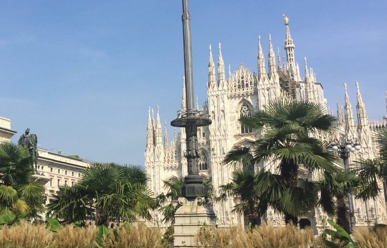 palme-piazza-duomo