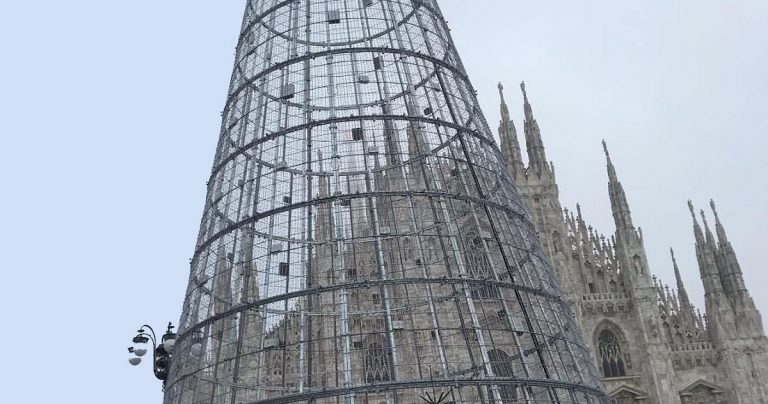 Ferracchio, la rivincita dei politici romani sull’albero di Milano
