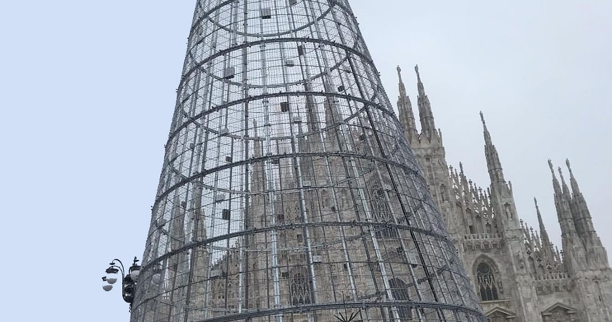 Ferracchio, la rivincita dei politici romani sull’albero di Milano