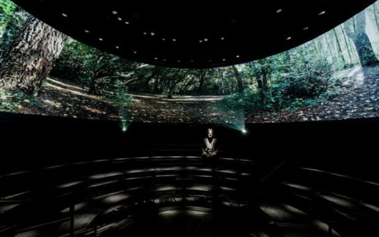 Dusk Chorus: David Monacchi presenta il suo nuovo documentario