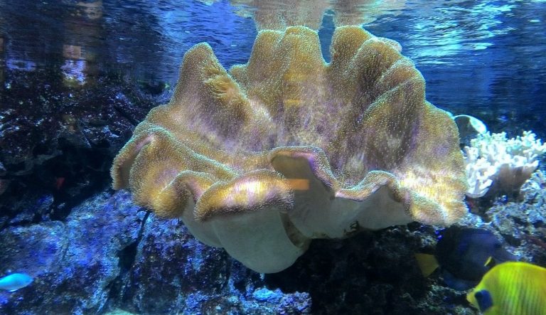 acquario civico milano