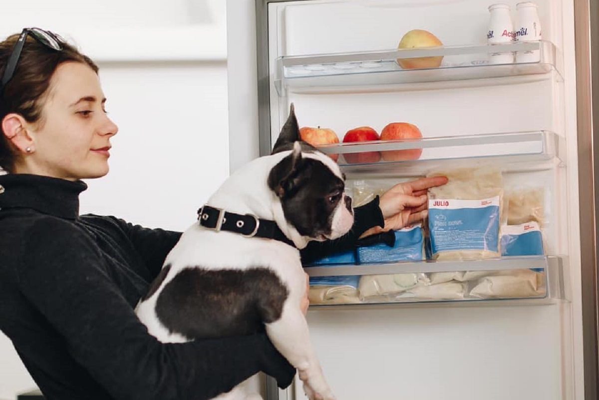 Cibo a domicilio per cani: a Milano si può grazie a Dog Heroes