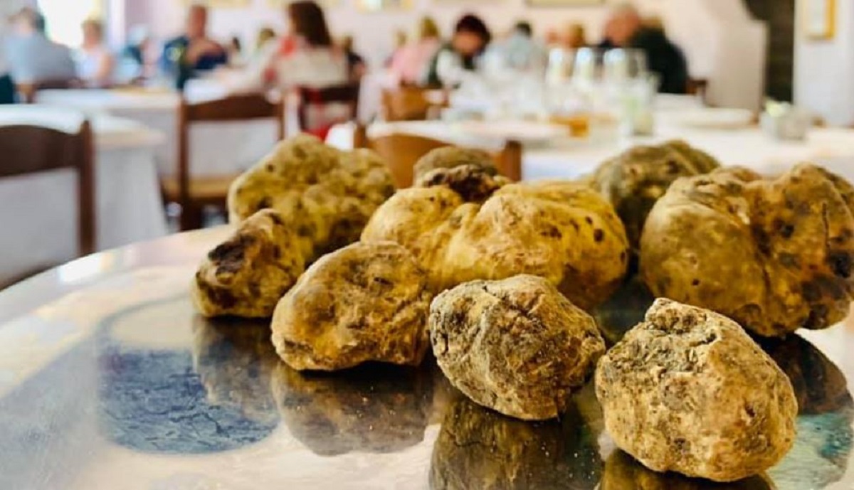 La Trifola Milano: il locale perfetto per gli amanti del tartufo