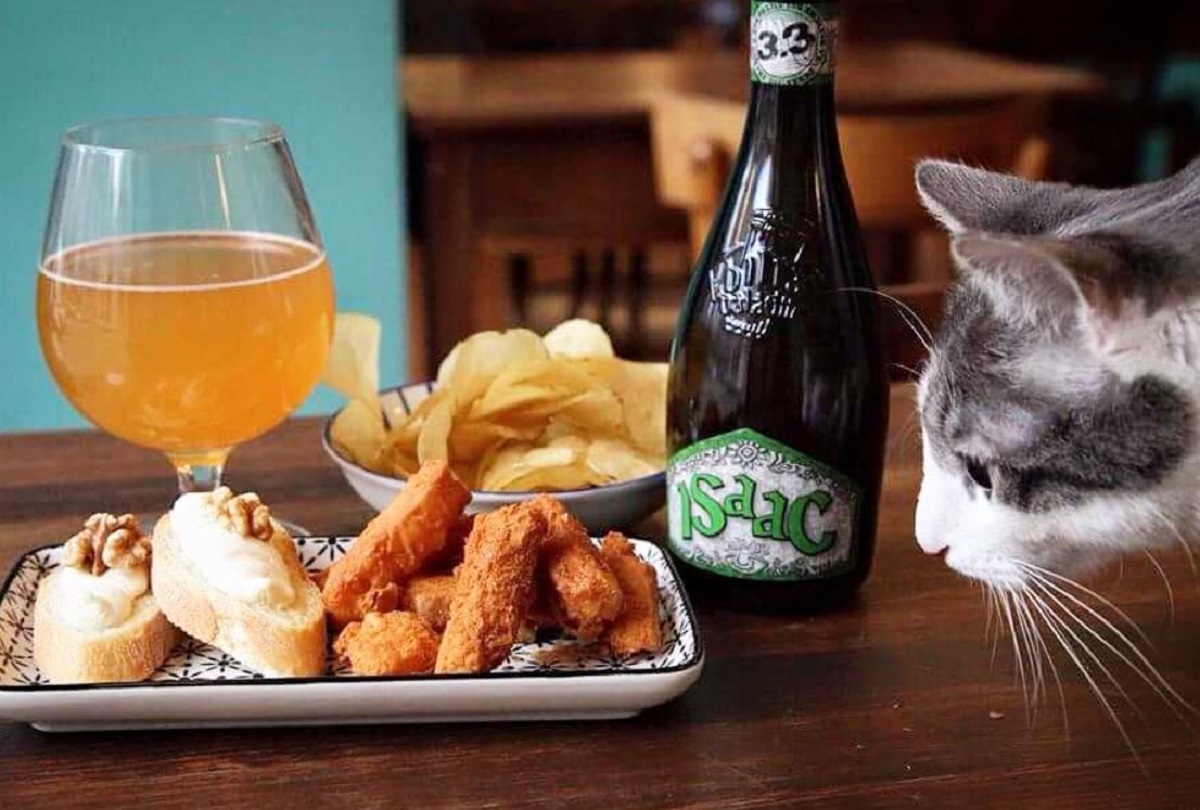 Crazy Cat cafè Milano: orari, brunch, menu, come arrivare