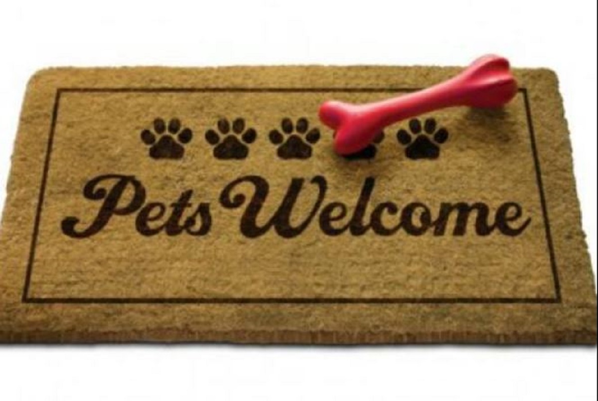 Ristoranti pet friendly a Milano: i locali che accettano animali