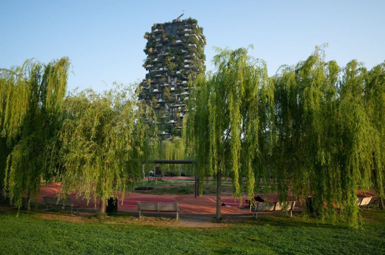 Biblioteca degli alberi a Milano: tutto sulla nuova oasi verde in città