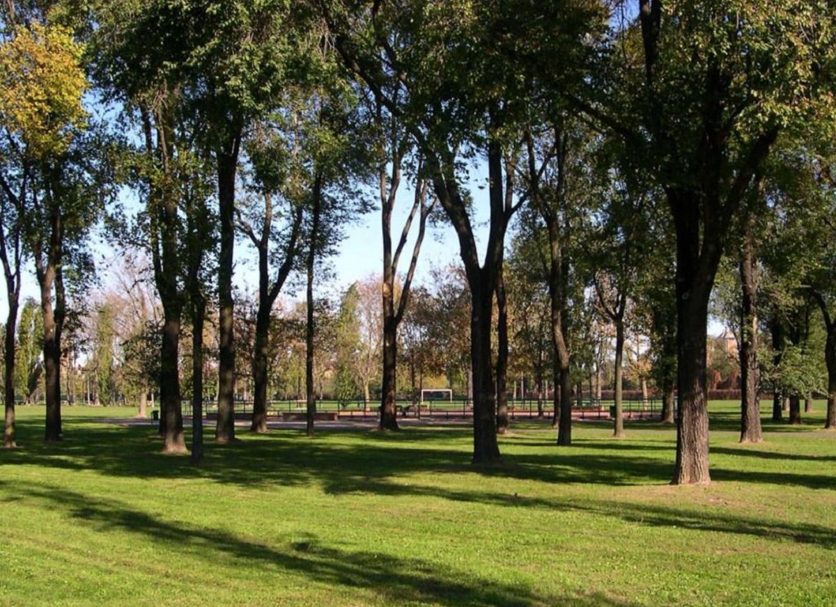 Parco di Trenno: mappa, ristorante, lunghezza