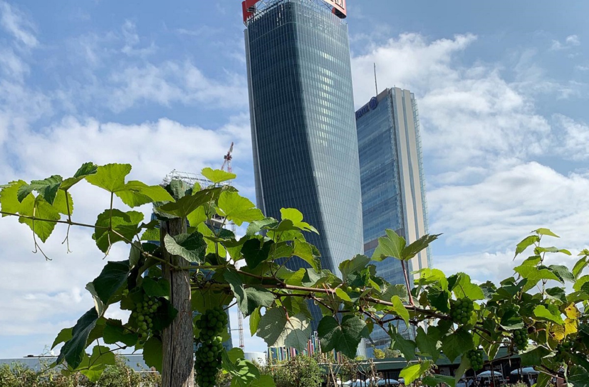 Riaprono gli Orti Fioriti a CityLife: le novità del 2020