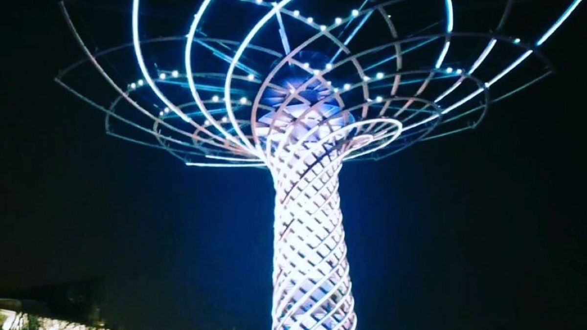 L’albero della vita si illumina di bianco in onore dei medici