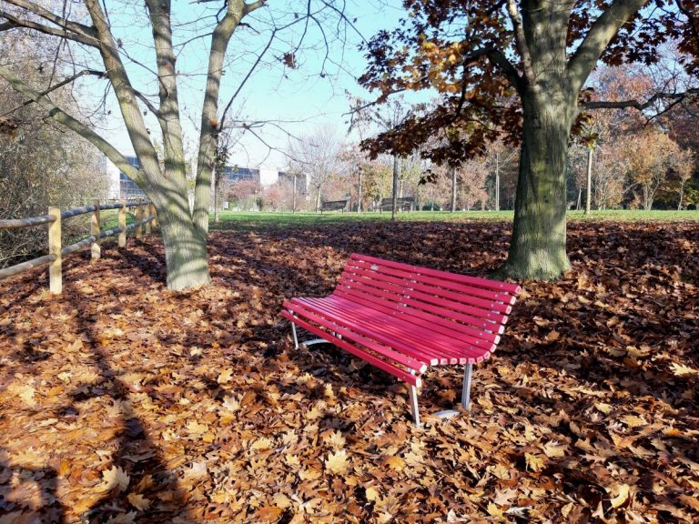 Panchine rosse all’Idroscalo per dire no alla violenza sulle donne