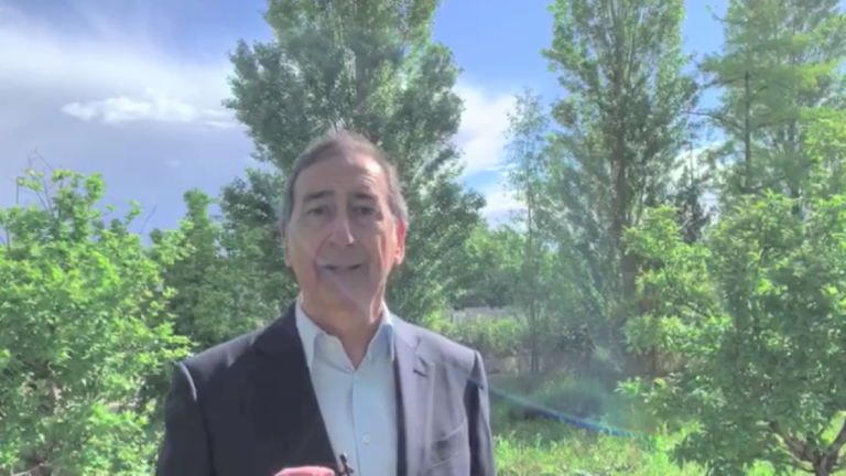 verdi milano partito