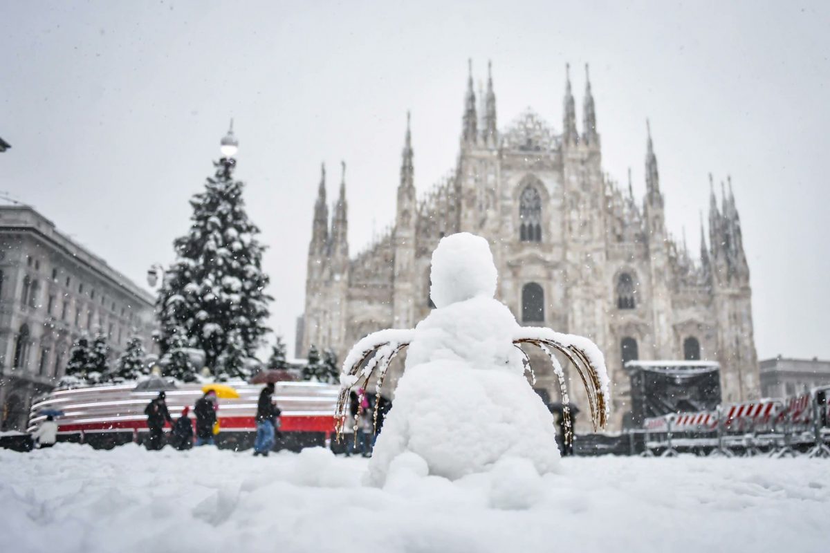 Strage di alberi a Milano per la neve: oltre 170 piante cadute