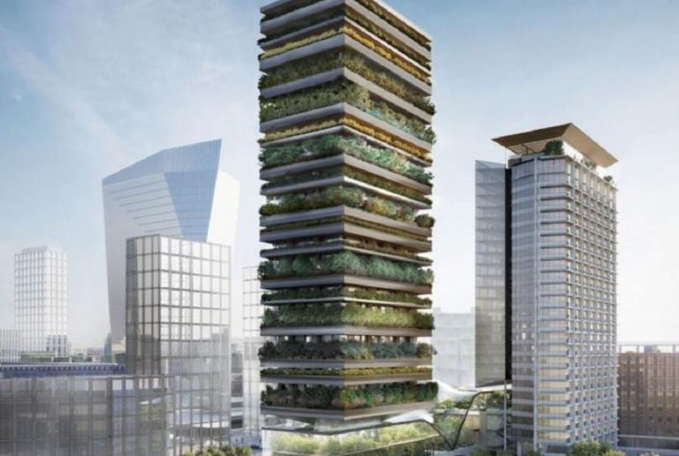 torre botanica