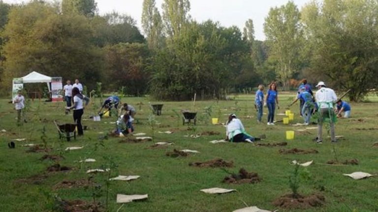 progetto forestami milano