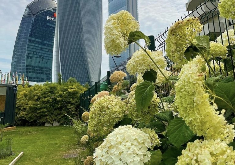 Orti Fioriti CityLife: tutti gli eventi