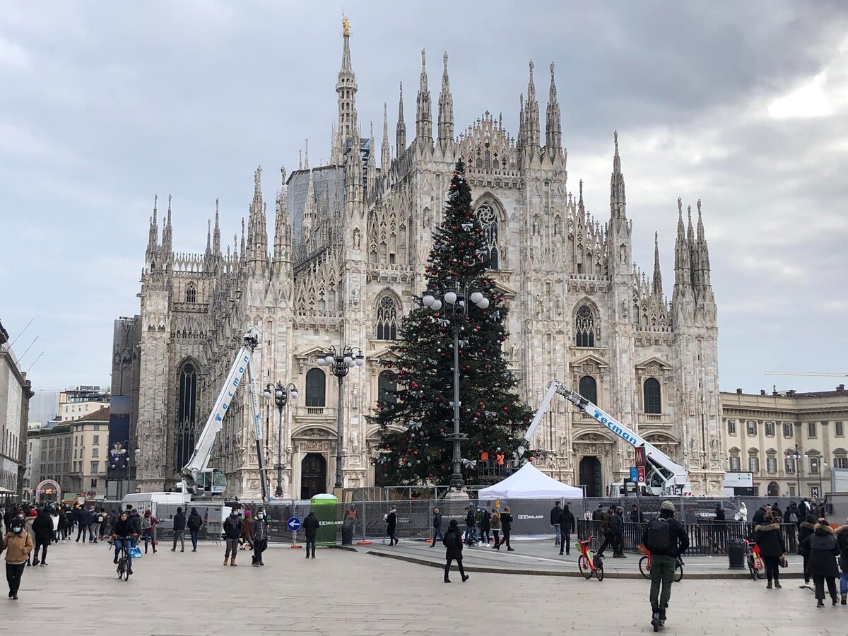 Albero di Natale in Duomo: l’accensione il 6 dicembre