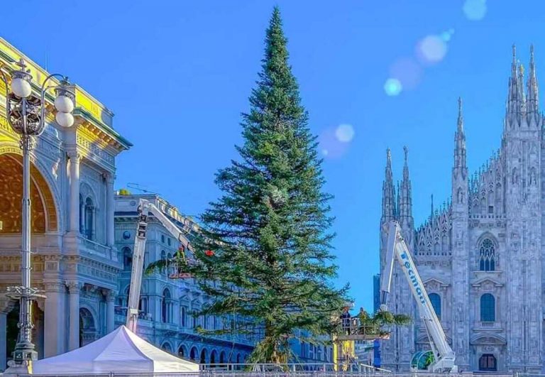 Duomo, albero di Natale