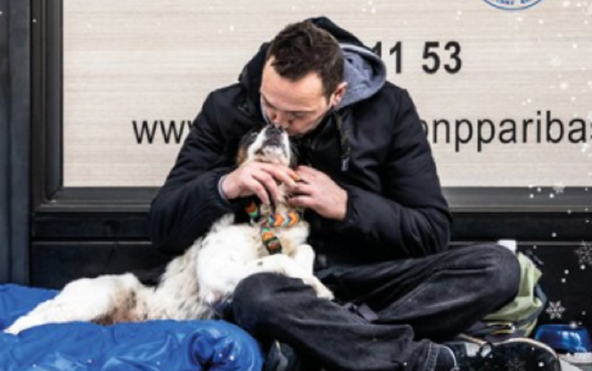 Save the dogs, i volontari che curano i cani dei senzatetto: assistenza e kit di primo soccorso