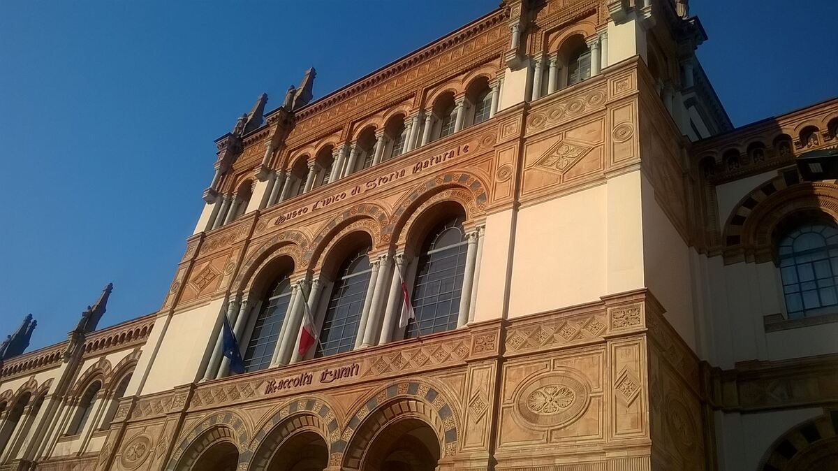 Museo di Storia Naturale: le straordinarie visite guidate per tutta la famiglia
