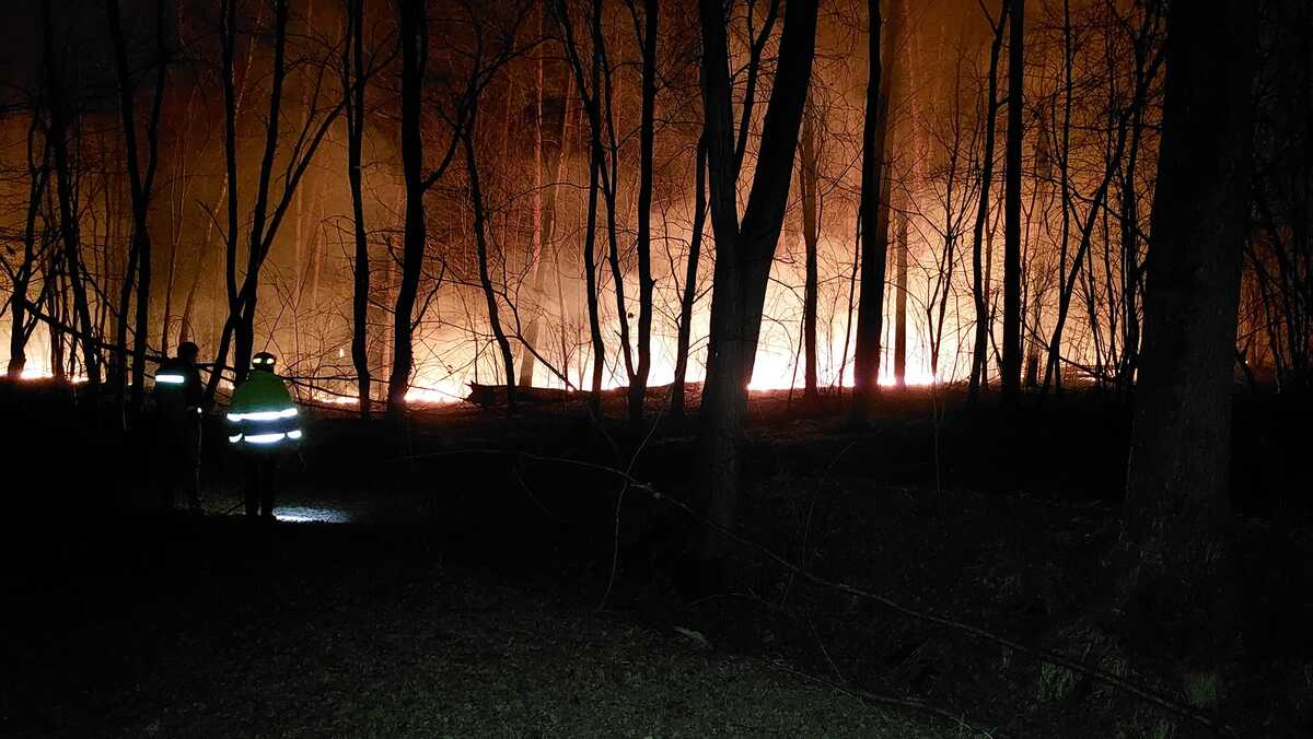 Maxi incendio nel parco delle Groane: carbonizzati diversi ettari di bosco