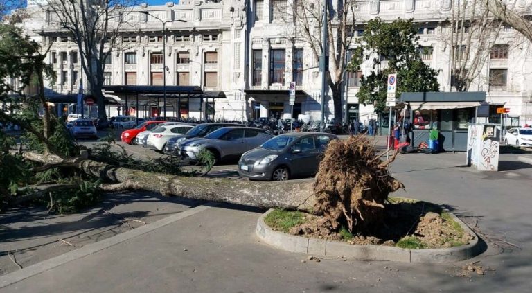 raffiche di vento, tutti i danni a Milano