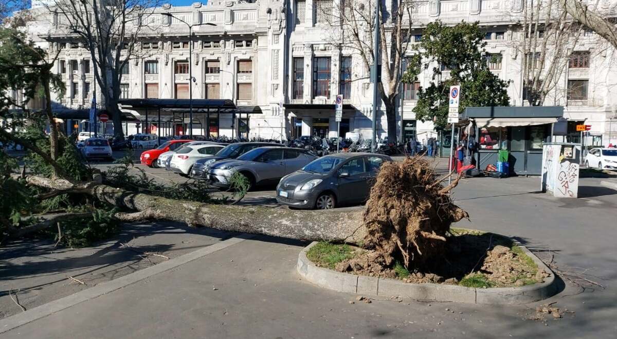 Tutti i danni causati dal vento di Milano, Arpa: “Mai così da 10 anni”