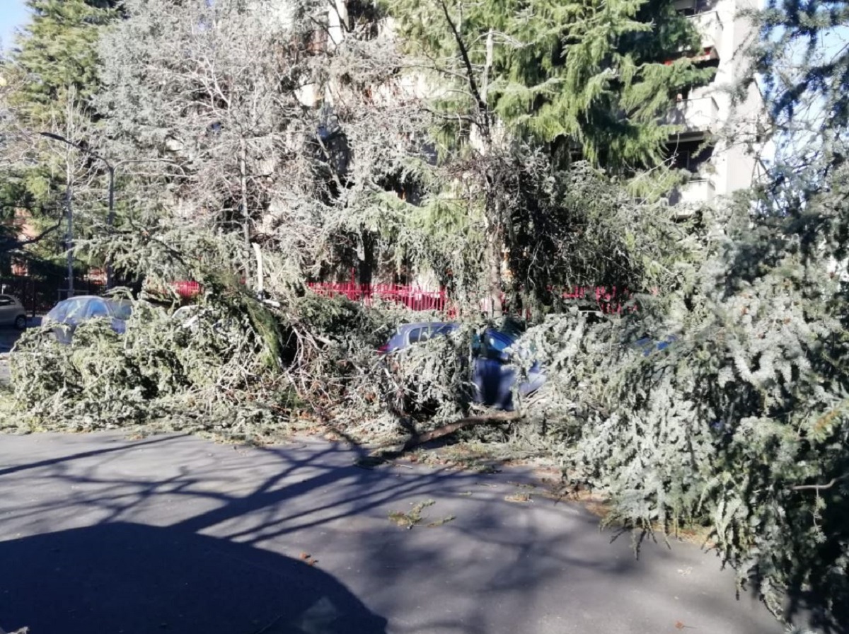 Atm, modificato il servizio: rete danneggiata da raffiche di vento