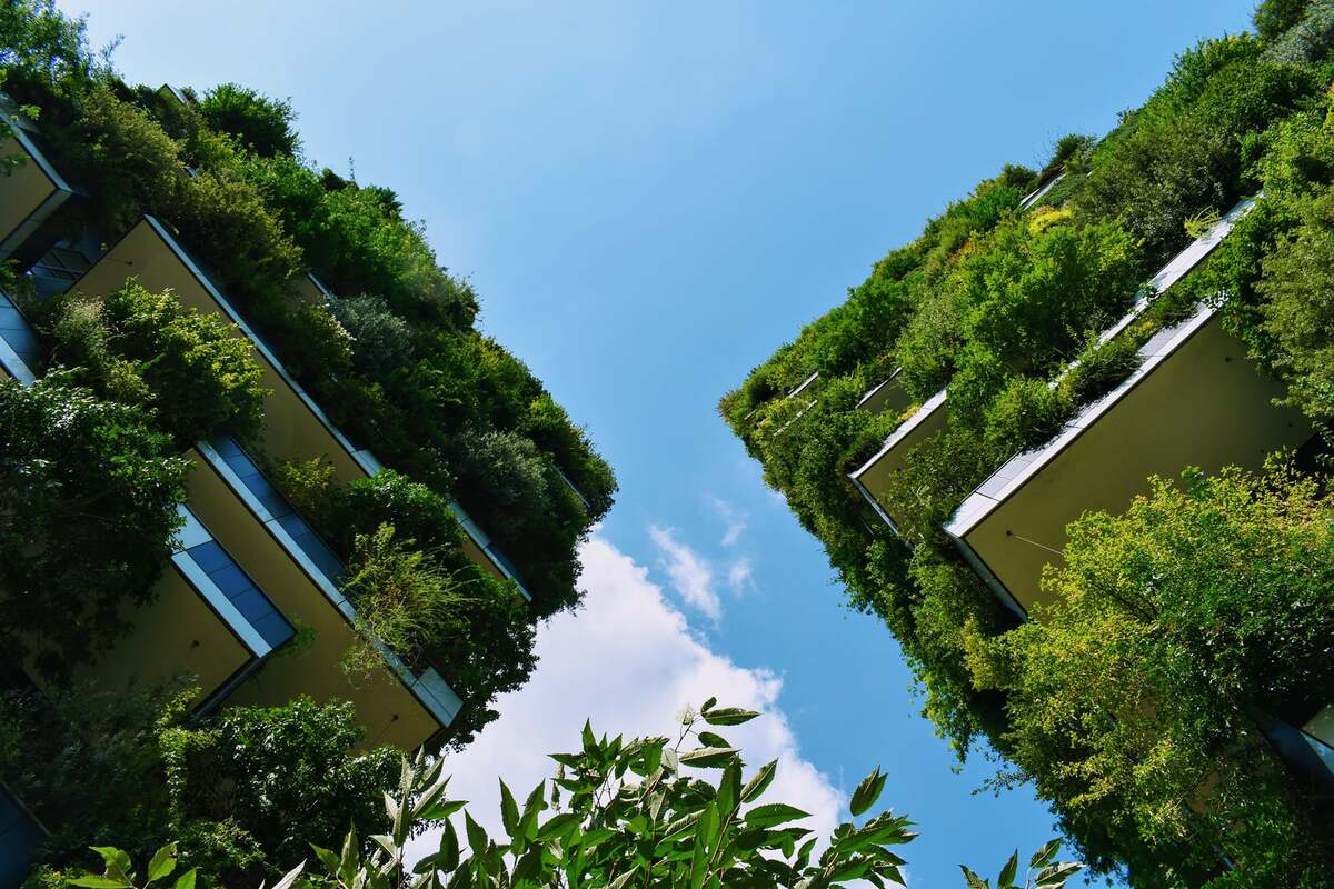 Il progetto verde “Forestami” di Stefano Boeri: da Milano all’Italia