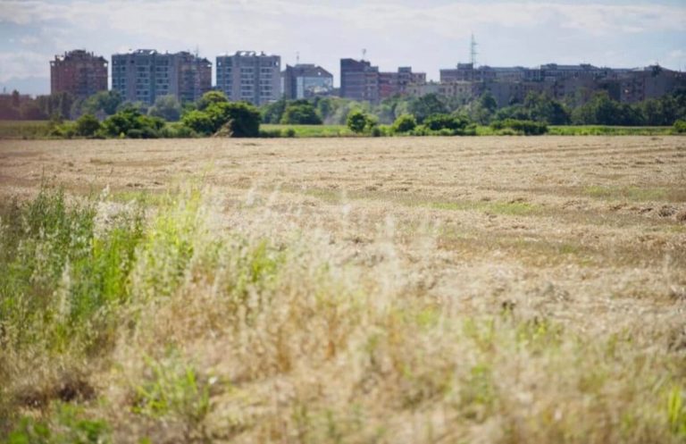 Siccità Milano, bisogna intervenire immediatamente e dichiarare lo stato d'emergenza