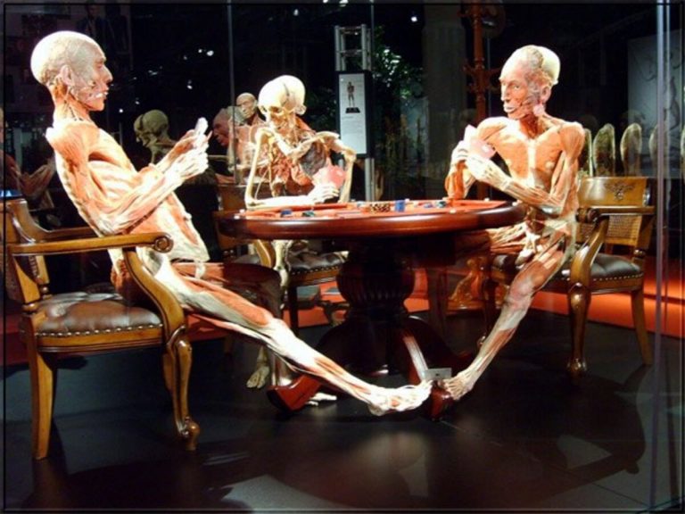 Body Wolrds, la mostra dedicata ai cadaveri ritorna a Milano