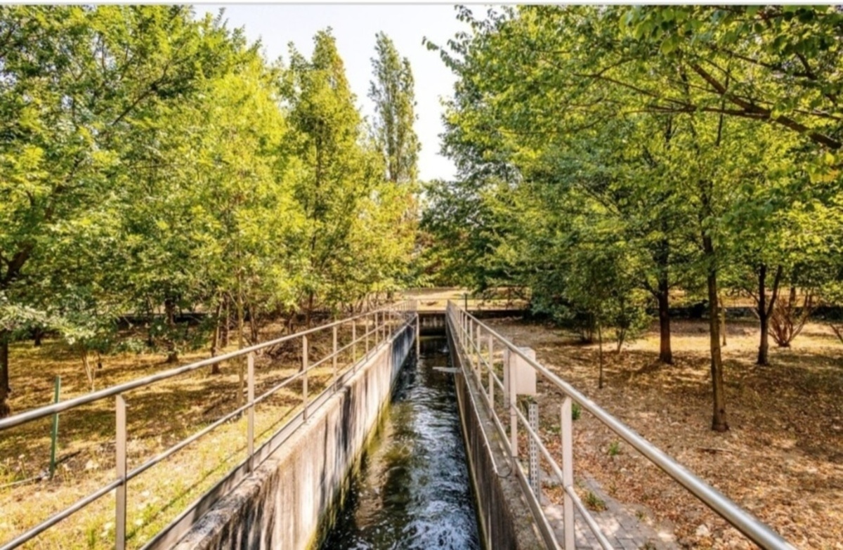 Piano anti-siccità, acqua depurata per innaffiare il Parco Nord