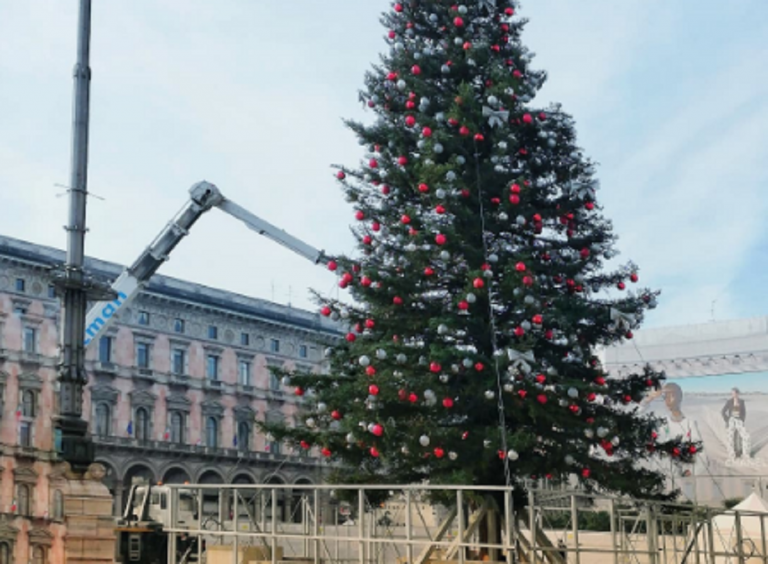 albero natale duomo