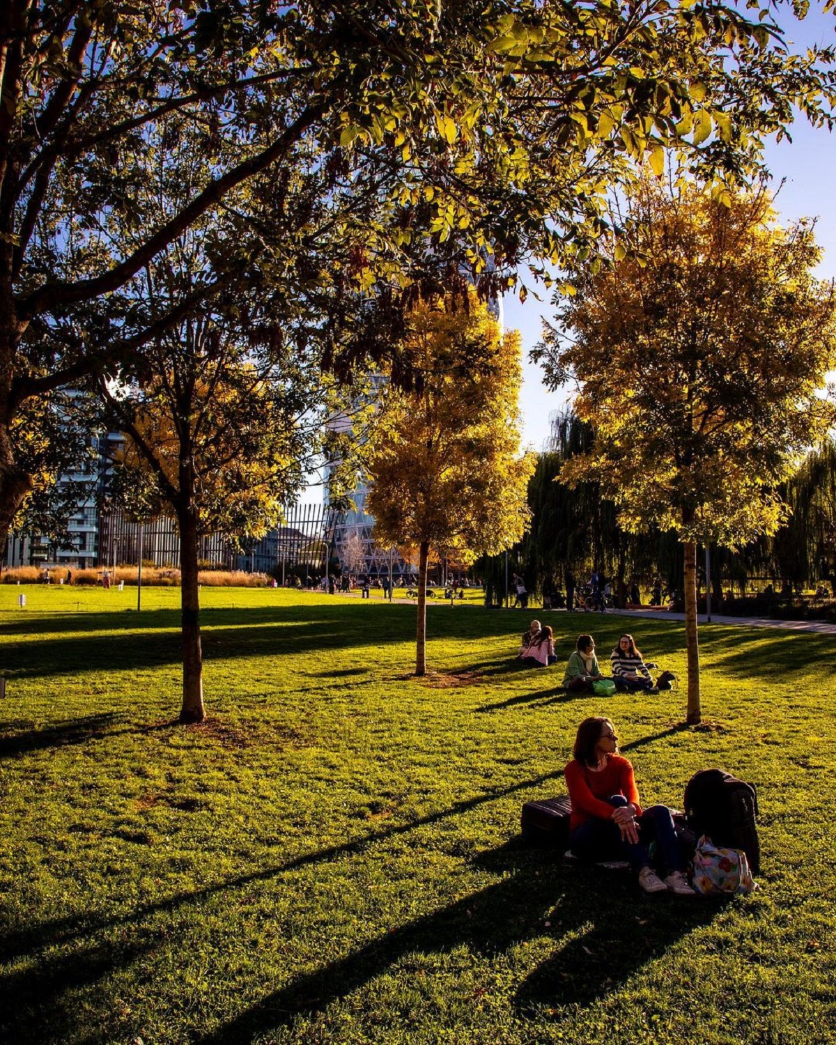 Biblioteca degli Alberi Milano