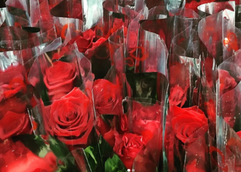 san valentino milano