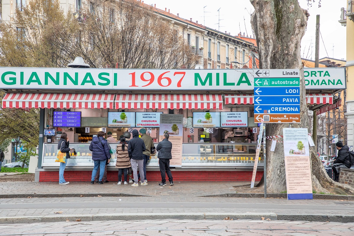 Sarà abbattuto il secolare “platano di Giannasi” a Milano