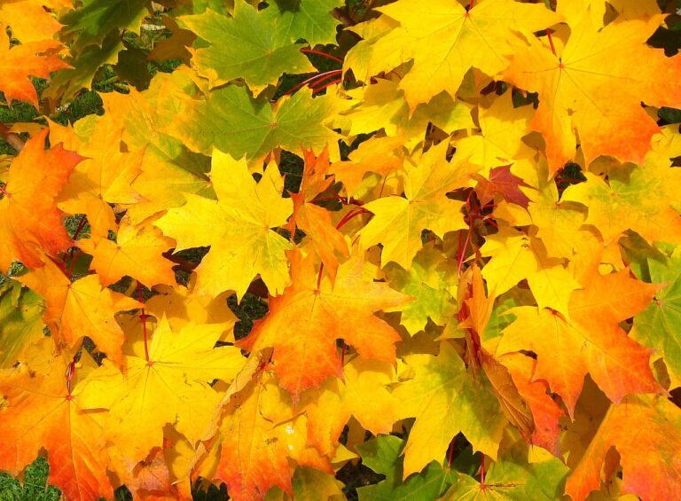 autunno in arrivo a milano