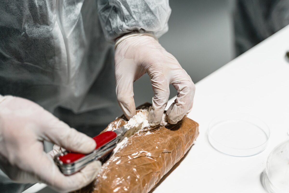 I due pusher con i sacchetti della spesa: oltre 60 chili di droga sequestrati
