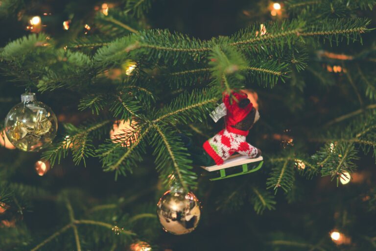 albero di natale duomo 2023