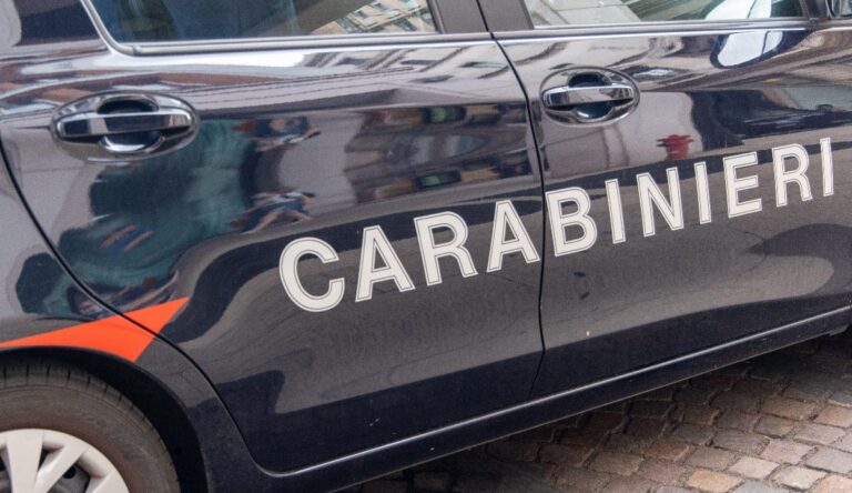 Ragazzo di 16 anni (con la svastica sul petto) picchia stranieri nel metrò
