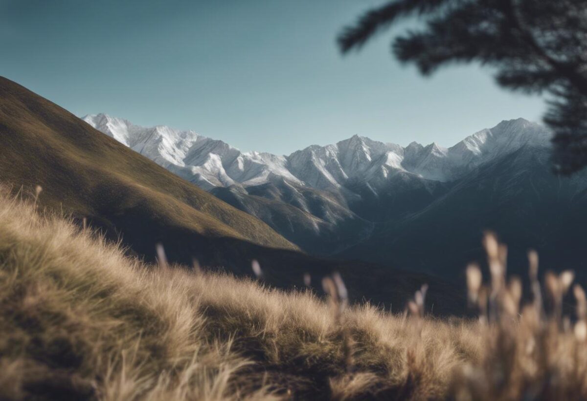 Federica Tonoli ha perso la vita cadendo da una montagna.