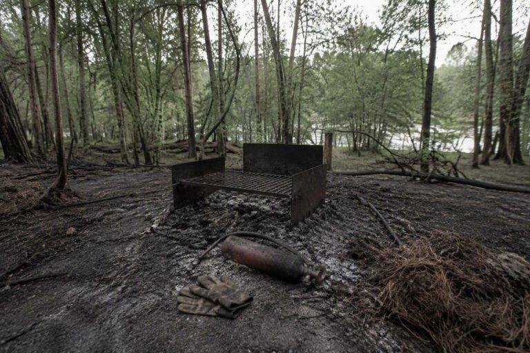 Parco del Ticino in fiamme: 24 incendi in luglio e agosto, 13 nel solo Parco