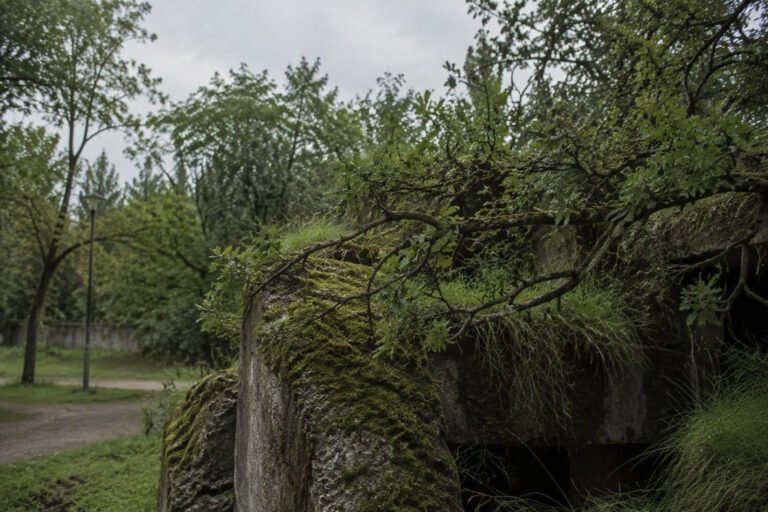 Scopri la ricchezza nascosta del Parco dei Capitani a Milano